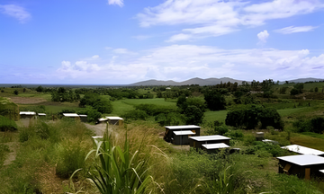 landscape of Fiji Honey Farms