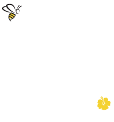 Bula Honey